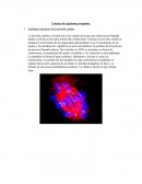 Explique el proceso de la división celular..