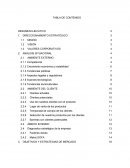 Tema- RESUMEN EJECUTIVO.