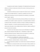 La organización escolar situada en el paradigma de la simplicidad trata de dar respuestas diferentes a las clásicas, las interacciones al interior de la escuela y la relación que tiene con el sistema circundante.