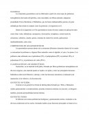 COMPONENTES DE LOS GEOSINTÉTICOS.