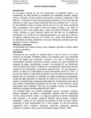 Noveno reporte semanal.