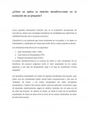 ¿Cómo se aplica la relación beneficio-costo en la evolución de un proyecto?.