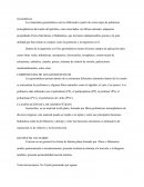 Geosinteticos.