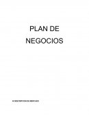PLAN DE NEGOCIOS III DESCRIPCION DE MERCADO