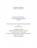 Proyecto comunitario..