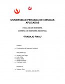 TRABAJO FINAL Fundamentos de Ingeniería Industrial.