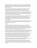Ensayo sistemas agroforestales.