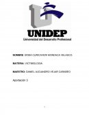 DELITO DE ROBO EN LA CIUDAD DE AGUASCALIENTES.