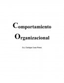 Comportamiento Organizacional.