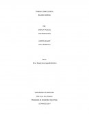 TRABAJO SOBRE CUENTAS - BALANCE GENERAL