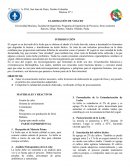 Práctica ELABORACIÓN DE YOGURT.