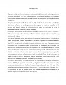 Surgimiento de Organizaciones Sociales en los 70´s.