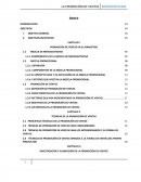 Promoción de Ventas en el area de marketin.