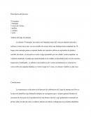 Analisis del jugo de naranja.