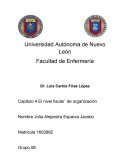 Capitulo 4 El nivel tisular de organización.