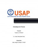 Proyecto “Queso La Pradera”