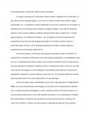 FUNCIONES DEL LENGUAJE SEGUN KARL BUHLER