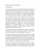 Cultura tierradentro