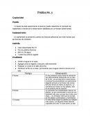 Práctica: Capilaridad