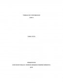 TRABAJO DE CONTABILIDAD GUIA 2