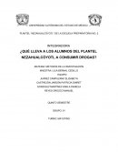 ¿Qué lleva a los alumnos del plantel Nezahualcóyotl a consumir drogas?