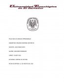 ¿Defina en que consiste la era geológica y argumente porque es importante estudiarla en esta asignatura?