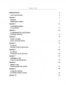 Steve Jobs. Como nació este libro.