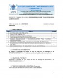 Informe técnico trabajo en tolvas de carbón.