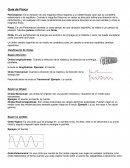 Guía de Física: Clasificación de Ondas