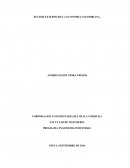 SECTOR EXTERNO ECONÓMICO COLOMBIANO