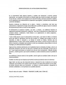 Orientación social de las relaciones industriales