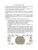 ¿Cómo Aprende el cerebro?