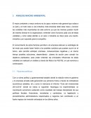 Tema- ANÁLISIS MACRO AMBIENTAL.
