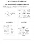 EN AULA .- IDENTIFICAR ASPECTOS E IMPACTOS AMBIENTALES, DE LOS SIGUIENTES SECTORES PRODUCTIVOS Y/O SERVICIOS:.