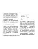 LOS NIVELES DEL SISTEMA INFORMÁTICO