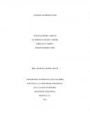 CONTROL DE PRODUCCION.