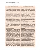 Galletera Hermanos Richaud S.A. C.V