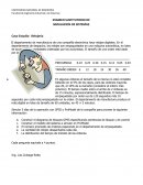 EXAMEN SUSTITUTORIO DE SIMULACION DE SISTEMAS.