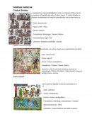 Catalogo de codices