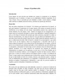 Ensayo: El jardinero fiel..