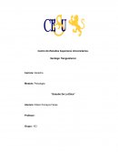 Ensayo estudio de la etica