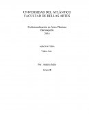 Video arte y video experimental.