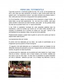 FERIA DEL TOTOMOXTLE.