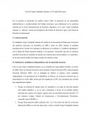 Jorge Castañeda Gutman vs Estado Mexicano.