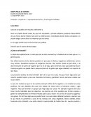 El Futuro del río Piedras.