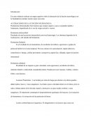 En esta evidencia realizare un mapa cognitivo sobre la alteración de la función neurológica con la finalidad de entender mucho mejor este tema.