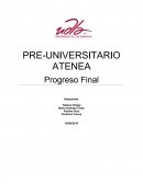 Marketing Estratégico - Plan de negocios.