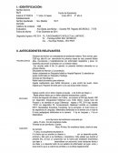 INFORME PSICOPEDAGÓGICO 5 año