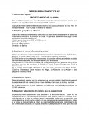 PROYECTO MINERO BELLA ANDINA.