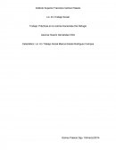 Catedrático: Lic. En Trabajo Social Blanca Estela Rodríguez Campos.